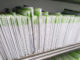 Medical Records