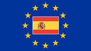 Spanish data protection authority